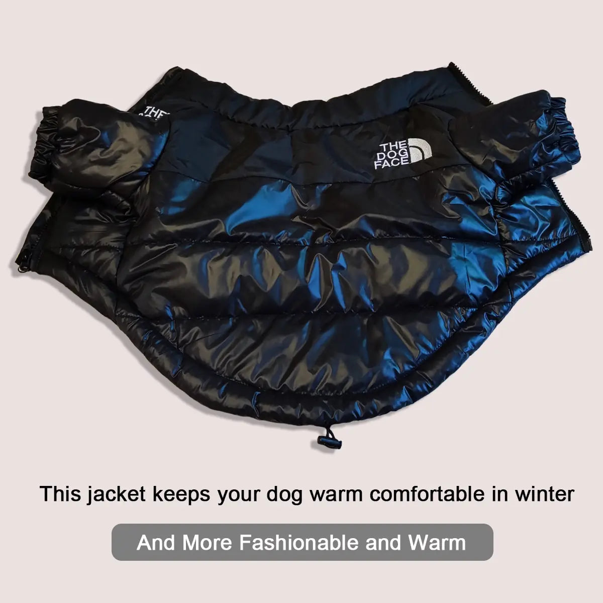Windproof Reflective Dog Jacket "The Dog Face"