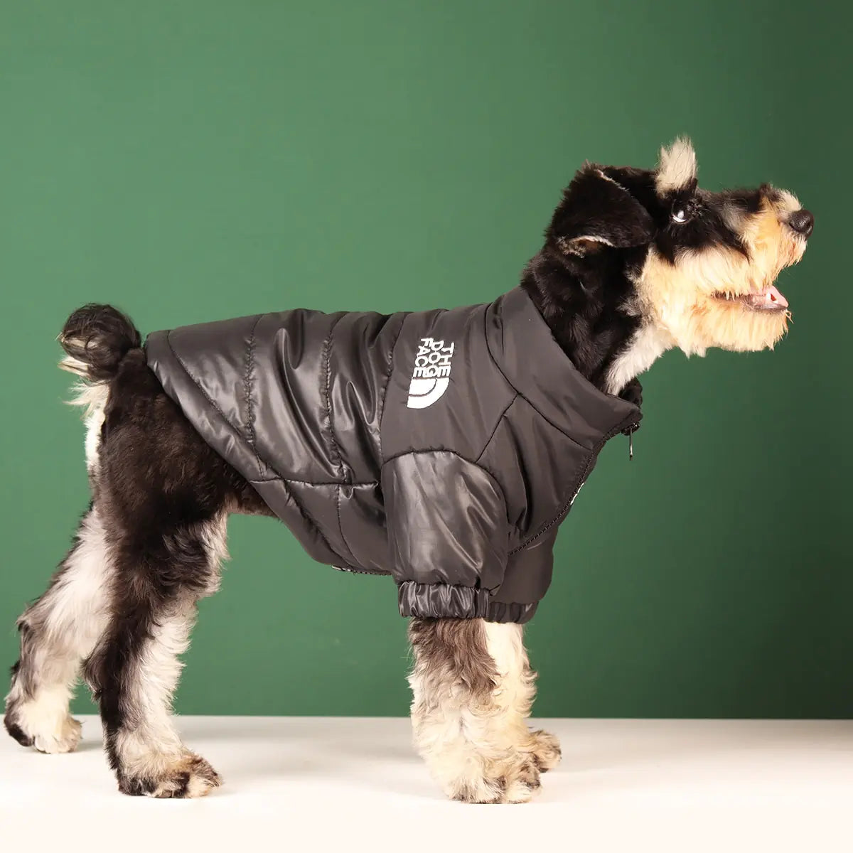 Windproof Reflective Dog Jacket "The Dog Face"